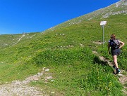 Capanna 2000 ad anello da Alpe Arera, festa di fiori-13giu26- FOTOGALLERY